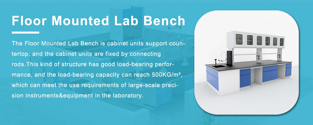 Laboratory Furniture Equipment for Fume Hood for Free Furniture Decoration Lab Design