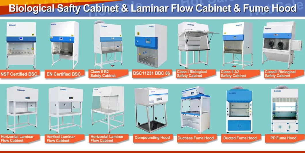 Biobase in Stock Class II A2 Biological Safety Cabinet Lab Biological Safety Cabinet with CE for Lab